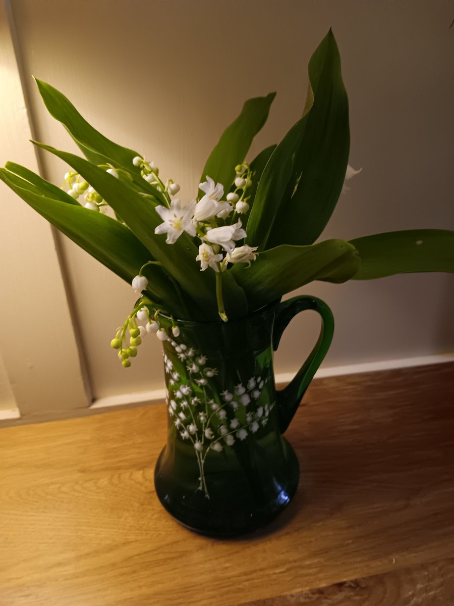 wishing everyone a good Fete du Muget. poor show of them yet so added some white bluebells. my great grandmother's vase used for them every year. the oldest thing I possess.