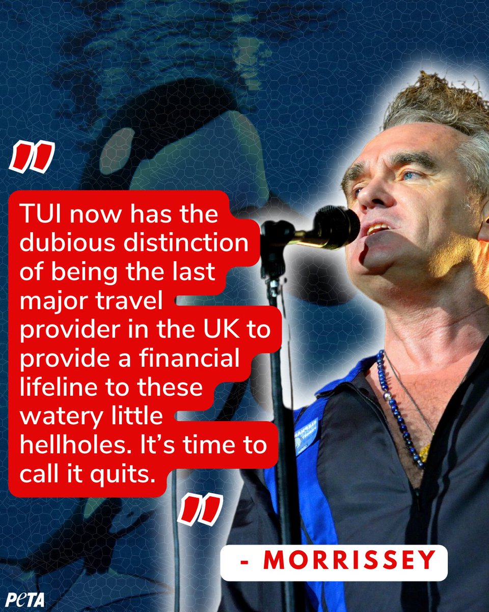 Morrissey is calling on @tuiuk to Please, Please, Please drop facilities that hold orcas and other dolphins captive from its holiday packages.

'Contrary to your company tagline, the animals imprisoned at marine parks do not Live Happy,' the singer writes in an open letter. 👀