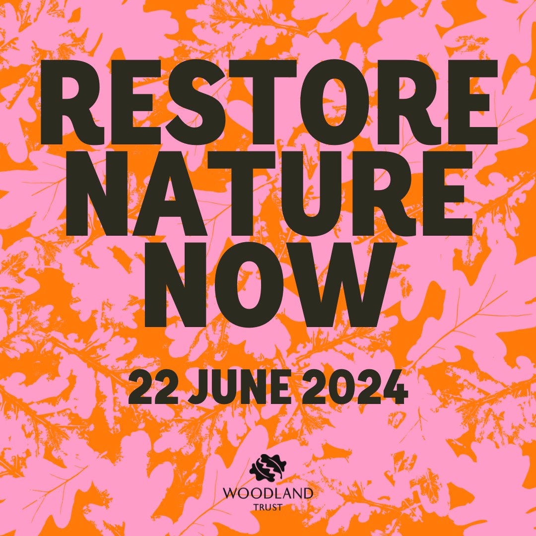 💚 Over 100 nature and climate groups are calling on politicians to #RestoreNatureNow in London, 22 June. 👉 Join us: restorenaturenow.com