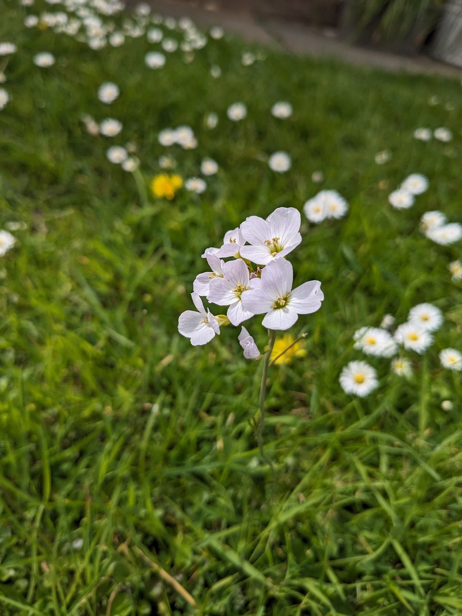 Sam Walker tweet media