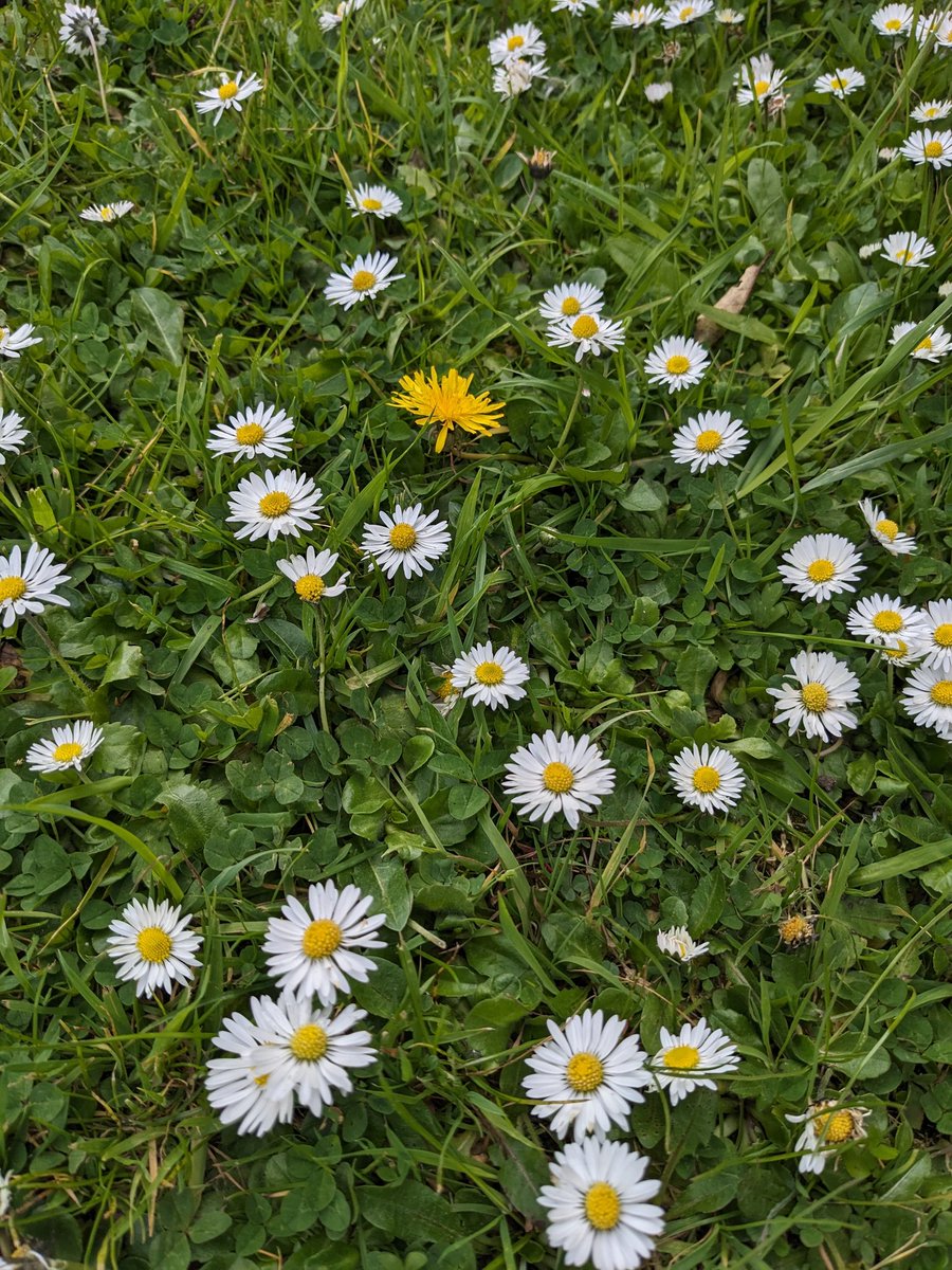 Sam Walker tweet media