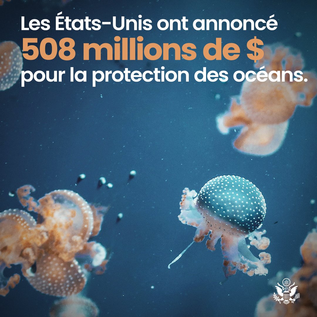 Les USA ont annoncé 508 millions de $ pour la protection des océans du monde. Ceci permettra de : ✅ promouvoir la pêche durable ✅ protéger 30% des océans d'ici 2030 ✅ lutter contre la pollution marine ✅ défendre une économie bleue durable ✅ renforcer la sécurité maritime.