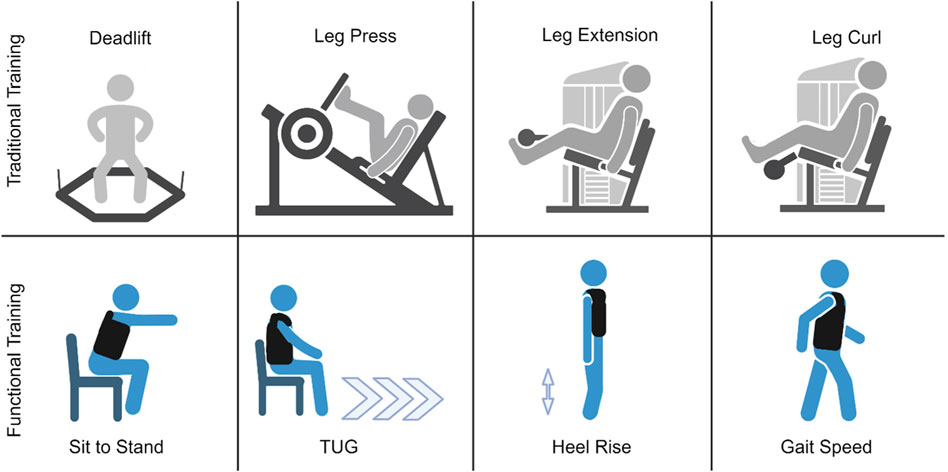 🏋️‍♂️💪Task-specific resistance training adaptations in older adults: comparing traditional and functional exercise interventions frontiersin.org/articles/10.33…