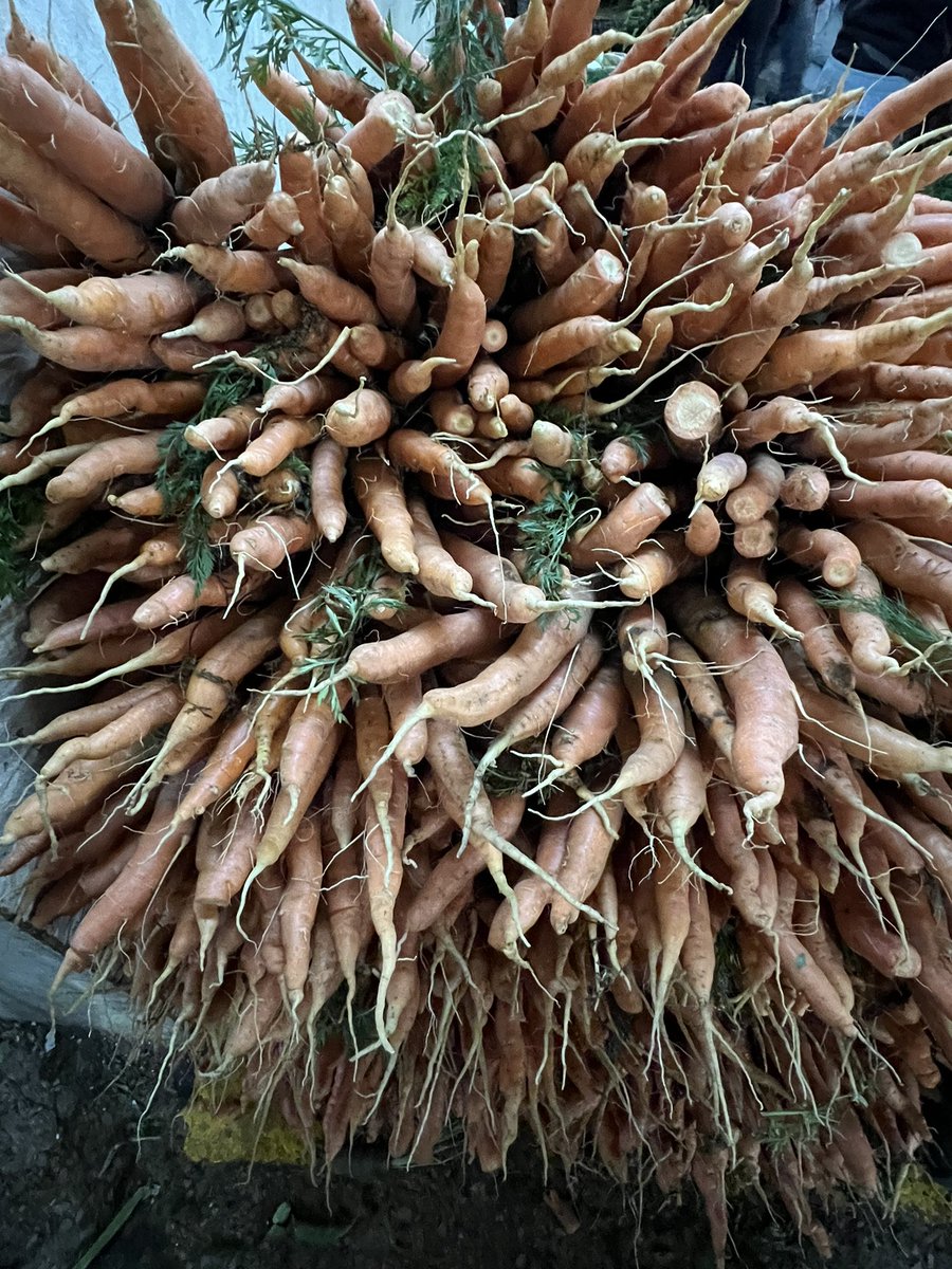 Only 15 crops provide 90%of humanity’s energy intake. We need more diversity to promote sustainable food systems #Visibilize4climateaction #ZeroHunger