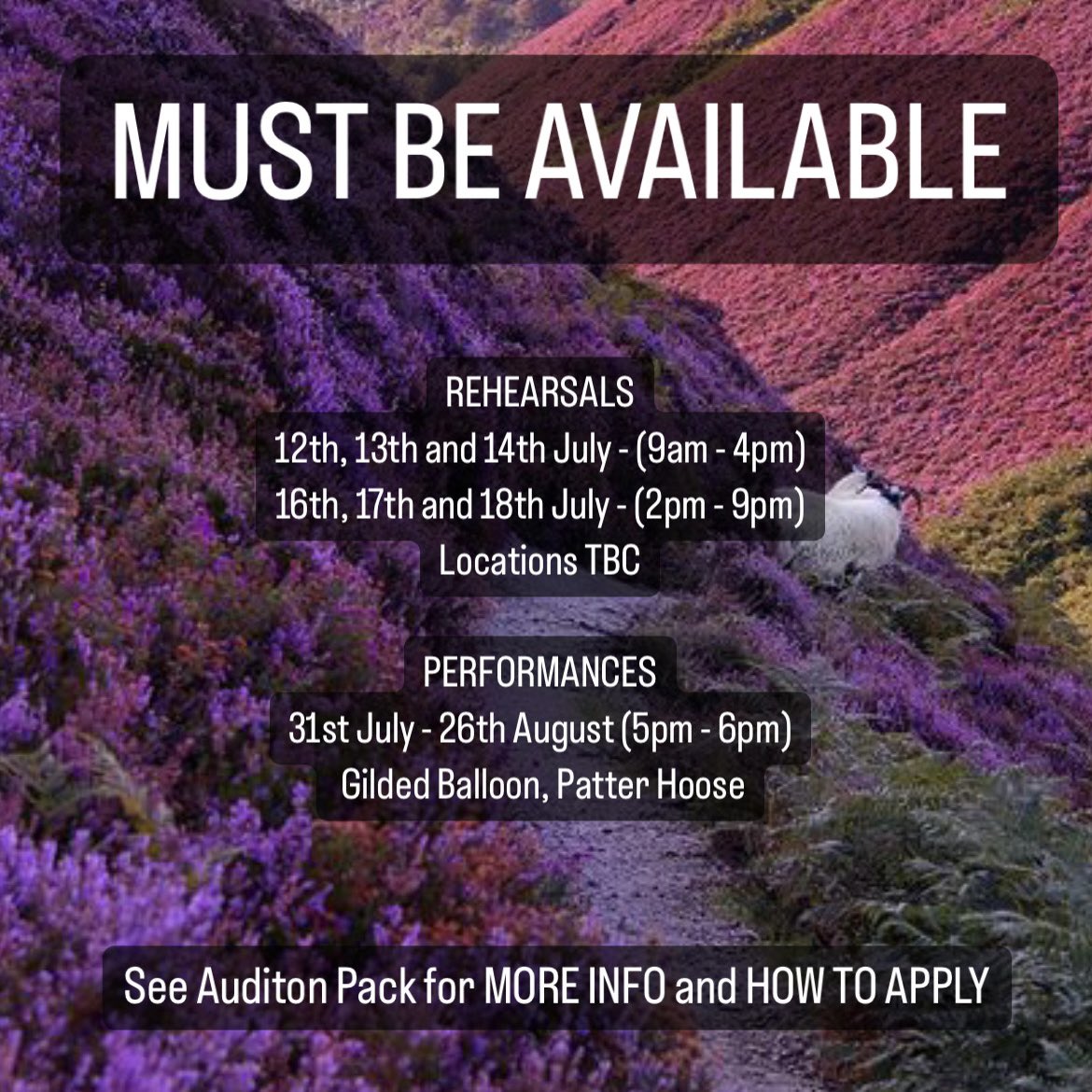 Higgledy Piggledy Productions tweet media