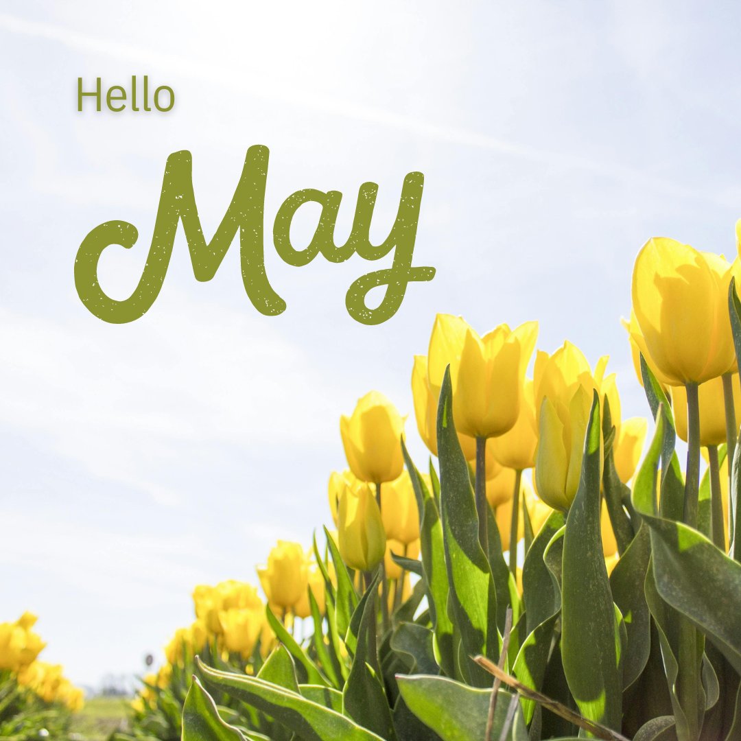 Happy 1st of May! 

'Every day is a chance to begin again. Don’t focus on the failures of yesterday, start today with positive thoughts and expectations.'
– Catherine Pulsifer 
#BennettStaff #May #NewMonth