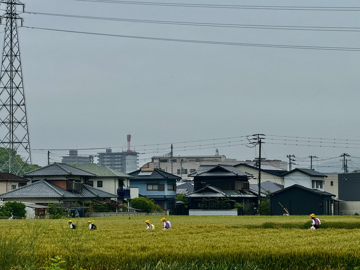 I snapped this as it reminded me of a favourite film: Twenty-Four Eyes (1954) directed by Keisuke Kinoshita. Children walking to school. Marugame. Kagawa.