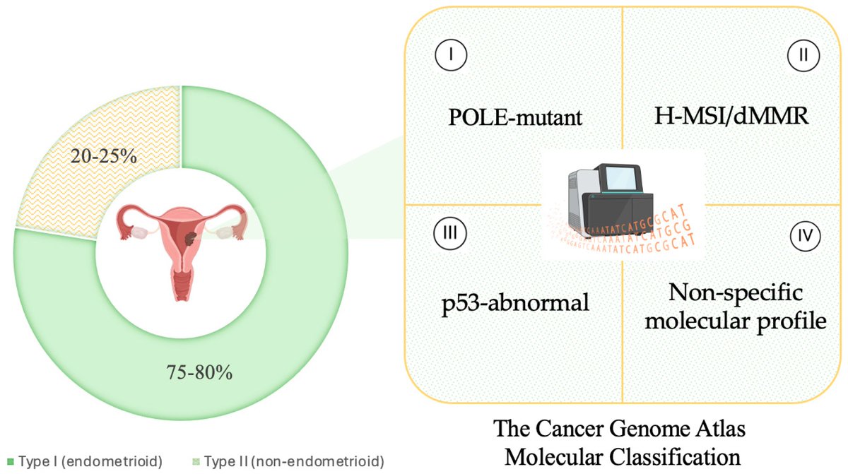 At the start of May, we invite you to read the latest publication from the Journal of Molecular #Pathology: 'Molecular Profiling of H-MSI/dMMR/for #EndometrialCancer Patients: “New Challenges in Diagnostic Routine Practice”', by Giancarlo Troncone,  etc: mdpi.com/2764284☀️
