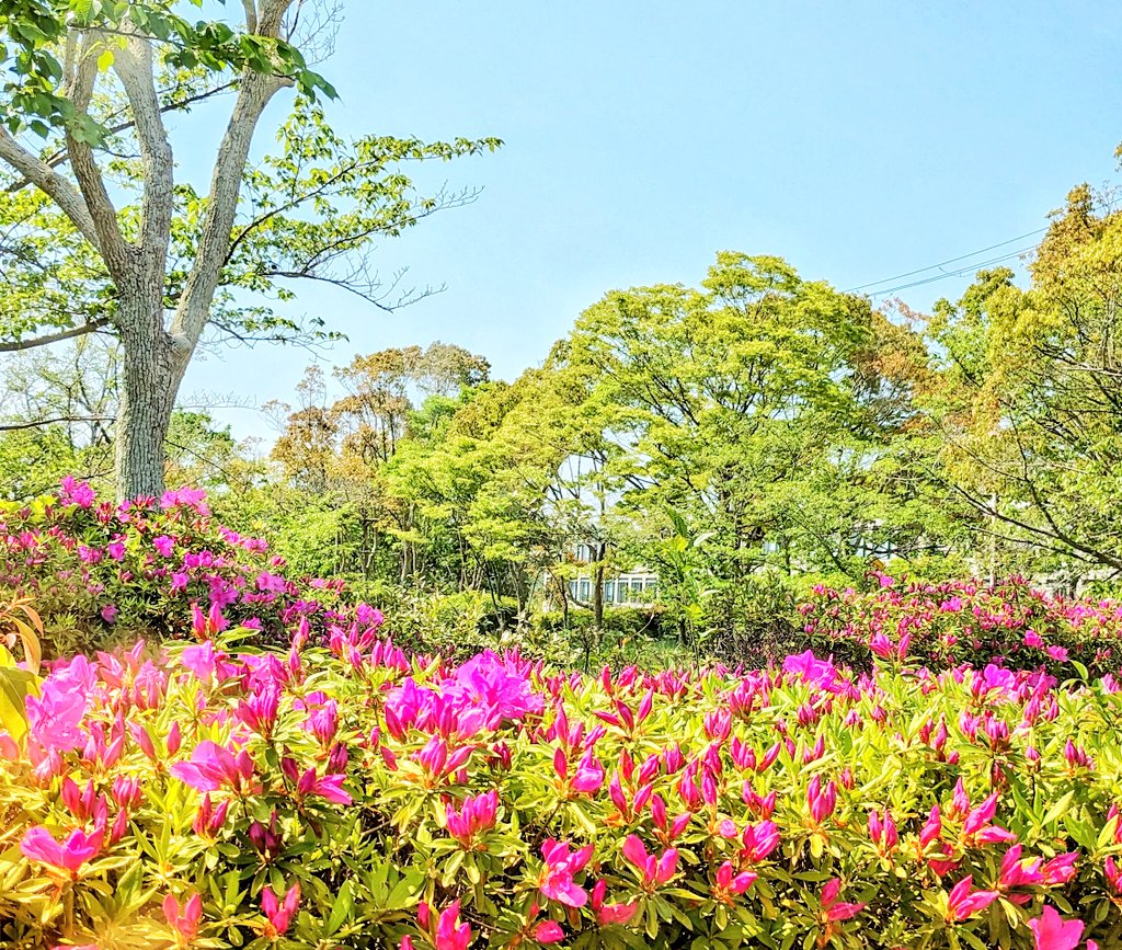 懸賞垢です🎁✨
なかなか当たらないので、
フォロワーさん500人目指してます🥺
初めましての方はぜひ繋がってください🌷✨

◊懸賞仲間募集
◊懸賞好きな人とつながりたい
◊懸賞垢さんフォロバ100

よろしくお願いします(⁠´⁠∩⁠｡⁠•⁠ ⁠ᵕ⁠ ⁠•⁠｡⁠∩⁠`⁠)