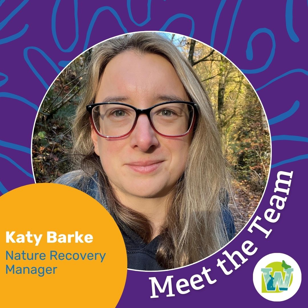 Next up we've got Katy. Katy manages the Nature Recovery team at Northumberland Wildlife Trust. The team generally works outside of NWT reserves with landowners and partnerships working on nature recovery, habitat mapping, planning and data. #WilderNorthumberland #NatureRecovery