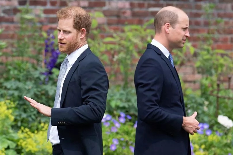 Prince William is 'jealous' of Harry's 'freedom' as they 'vie for international stage' dailystar.co.uk/news/latest-ne…