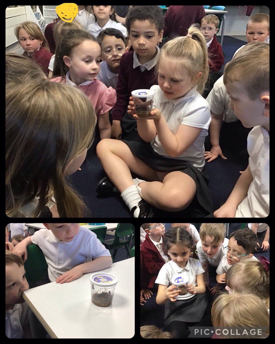 Yesterday Year 1 met the new additions to our class, the caterpillars, which we are going to observe over time. #moorsidepa #moorsidepascience <a href="/MrsFoxMPA1/">Mrs Fox</a>