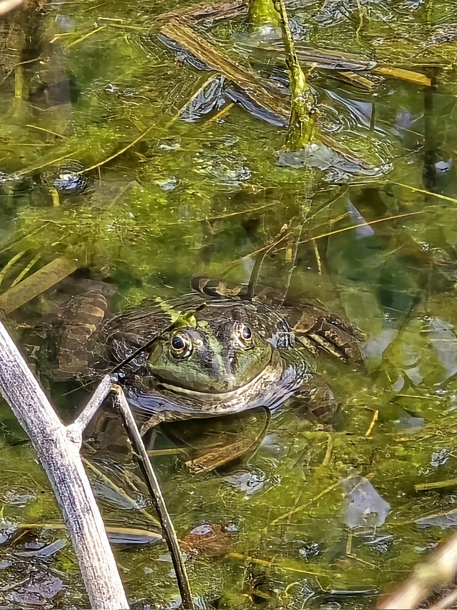 Grinning at me... I think it may have winked 😉