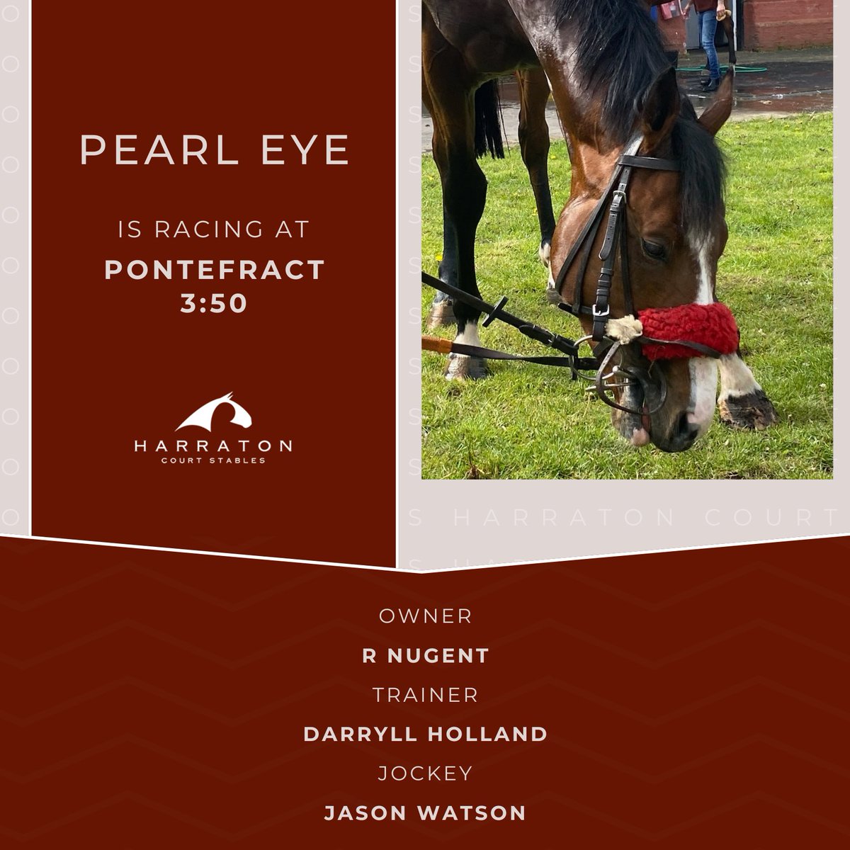 Pearl Eye is racing at Pontefract 3.50 Good luck to owner R Nugent, trainer #DarryllHolland and jockey @_JasonWatson #PearlEye #Winner