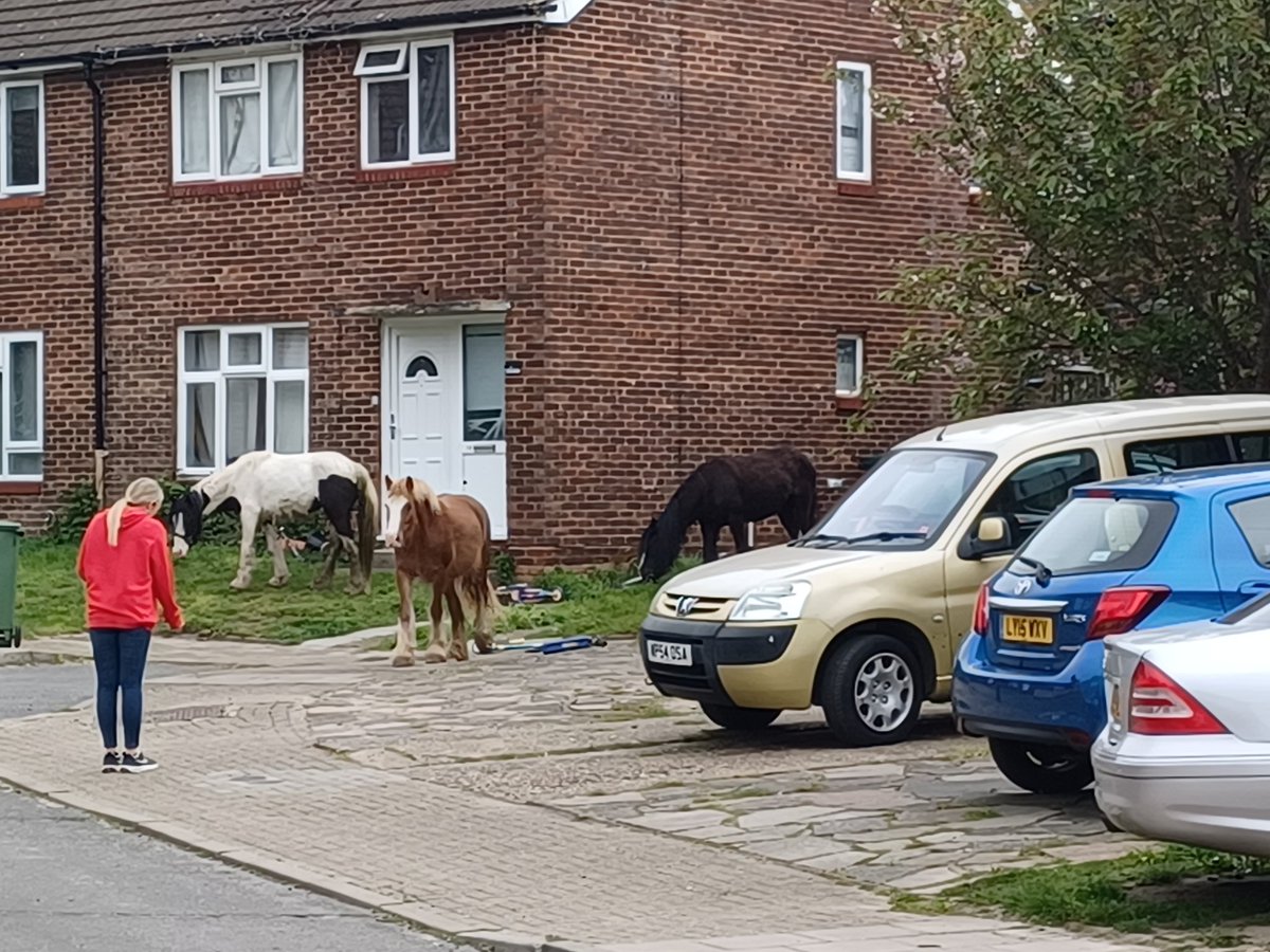 Orpington Police tweet media