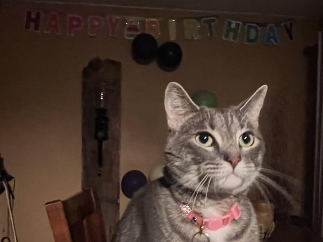 everyone wish her a happy third birthday!! 🎉🥹: submitted by /u/paisga [link] [comments] dlvr.it/T6G28h