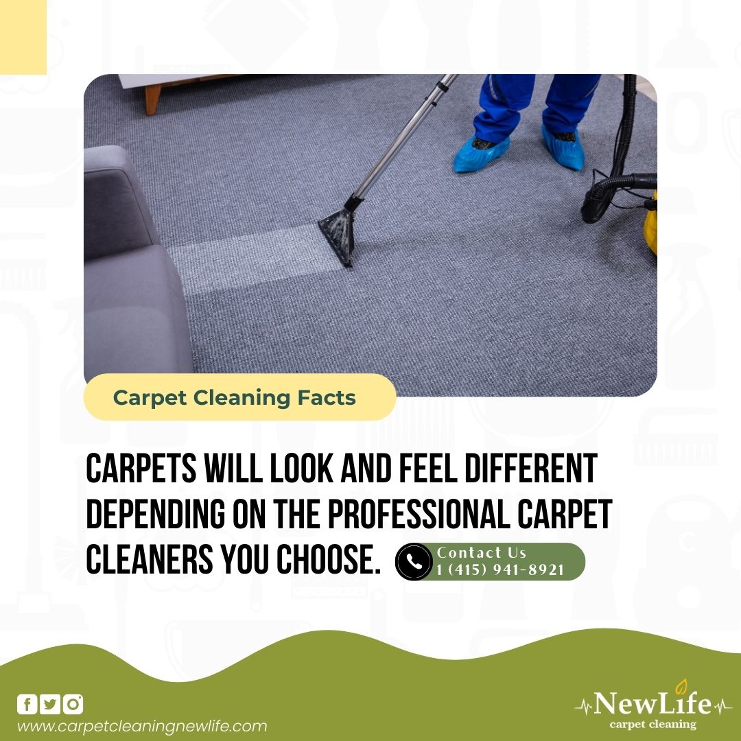 Before selecting a professional carpet cleaning company, it's crucial to conduct thorough research. 🧐 #CarpetCleaning #NaturalCleaning #HealthyLiving . Get a Free Estimate - carpetcleaningnewlife.com  Call Now - 1 (415) 941-8921