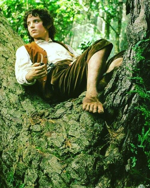 Elijah was always a Hobbit.