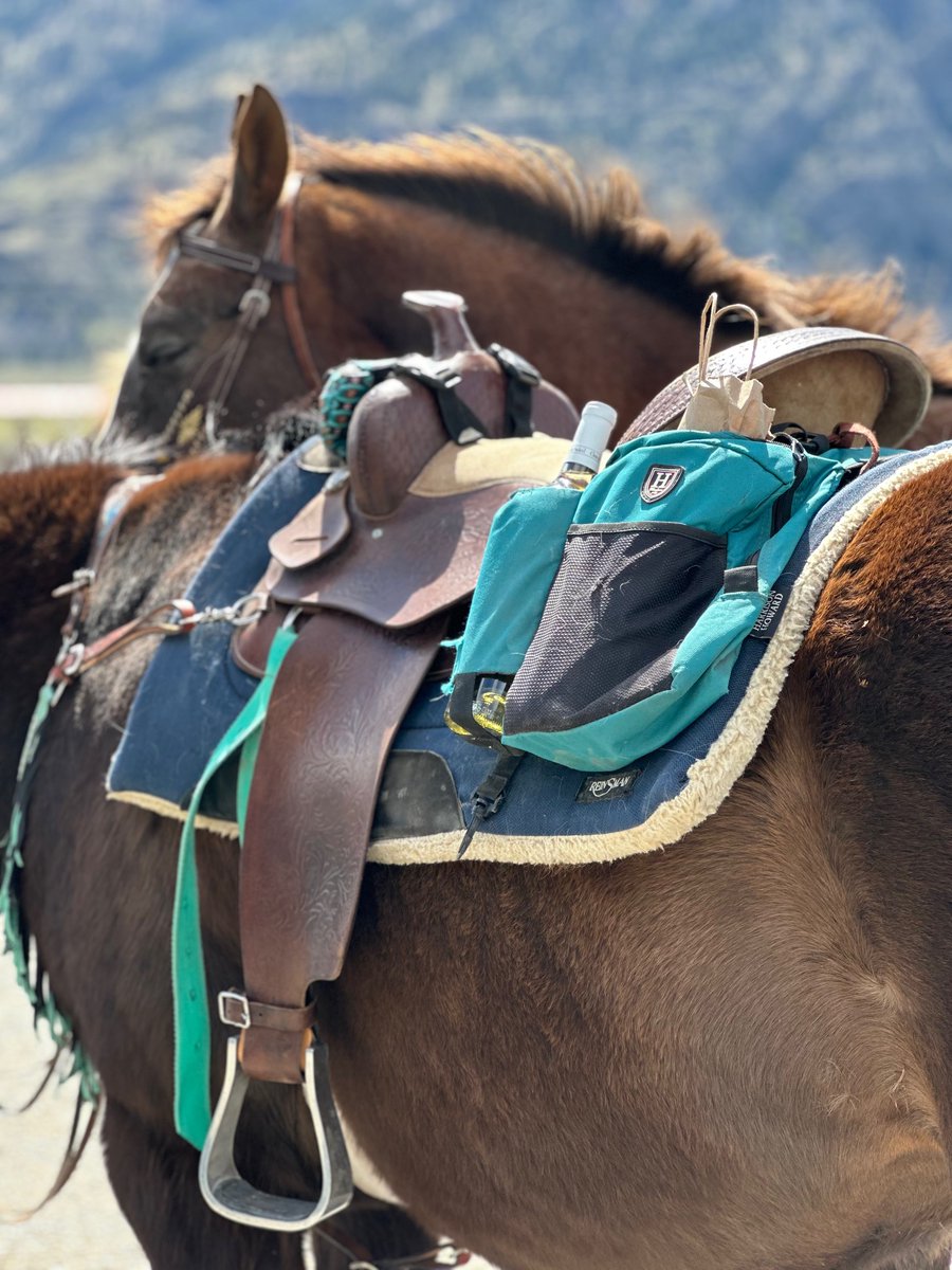 A wine tasting experience like no other Equines & Wine offer up a wine tour on horseback in the Similkameen Valley that is a perfect fusion of adventure, natural beauty, great wines and a whole lot of fun: tinyurl.com/499reua5 #wine #BCwine #HelloBC