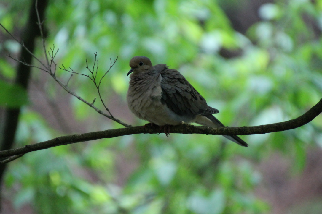 esteller’s jay tweet media