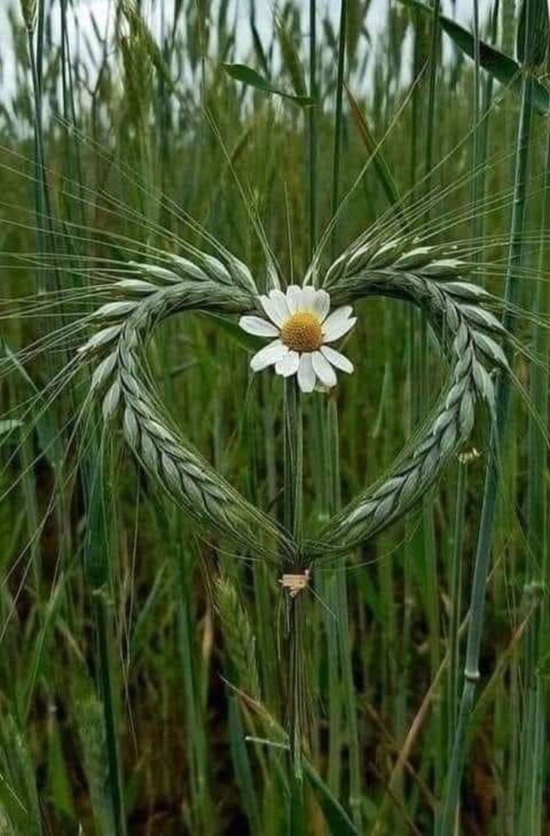 'La tendresse, c'est quand on est comme ça, petit, tout brisé devant l'autre, et que dans son regard, on découvre qu'on existe. La tendresse, c'est quand on partage tout, et que la communion ne prend rien de ce jardin secret qui jamais à l'autre n'appartient. La tendresse, c'est…