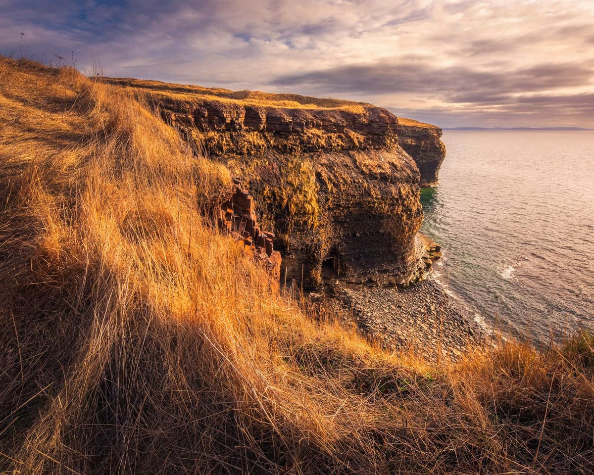 Golden scene overlooking the coast of Grebes Nest Bell Island Newfoundland.

#newfoundland #newfoundlandandlabrador
