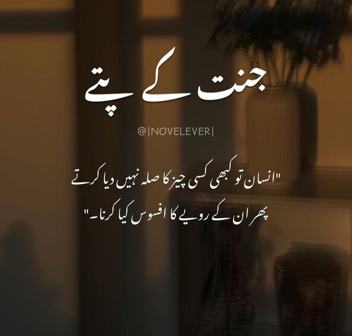 Ramish tweet media