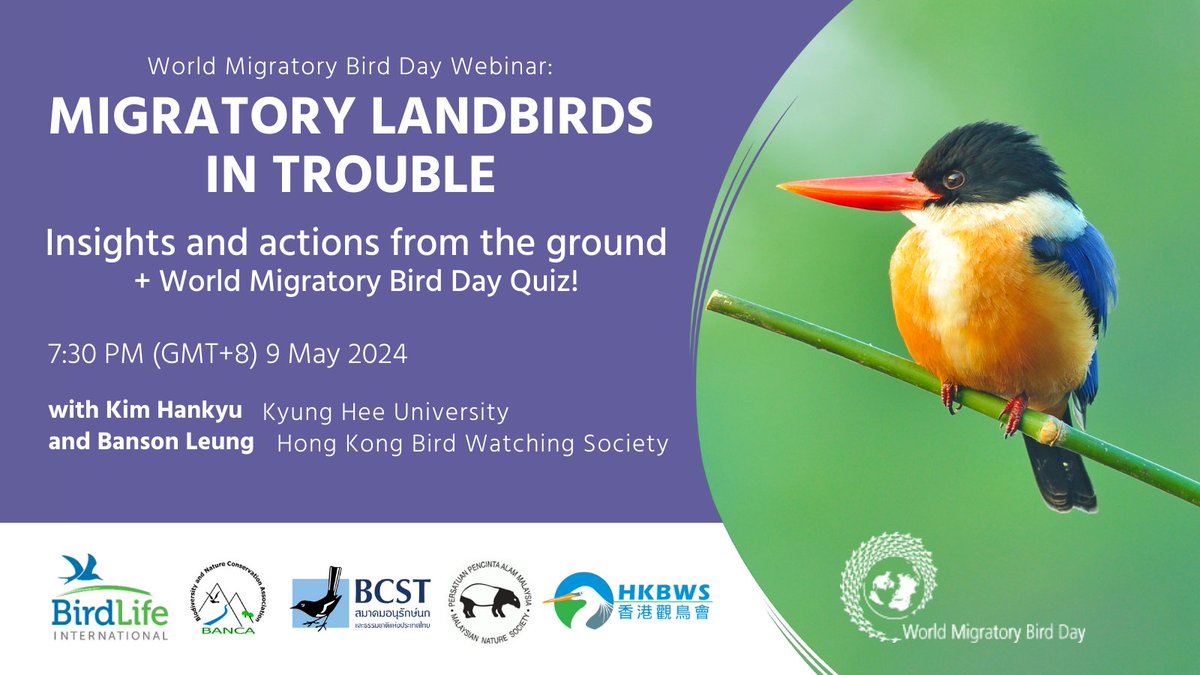 📅JOIN US next Thursday to celebrate World Migratory Bird Day! Learn about which migratory landbird in the East-Asian Australasian Flyway are in trouble, and show off your knowledge with a bird quiz 🧠 Register at the link ⬇️ birdlife.zoom.us/meeting/regist…