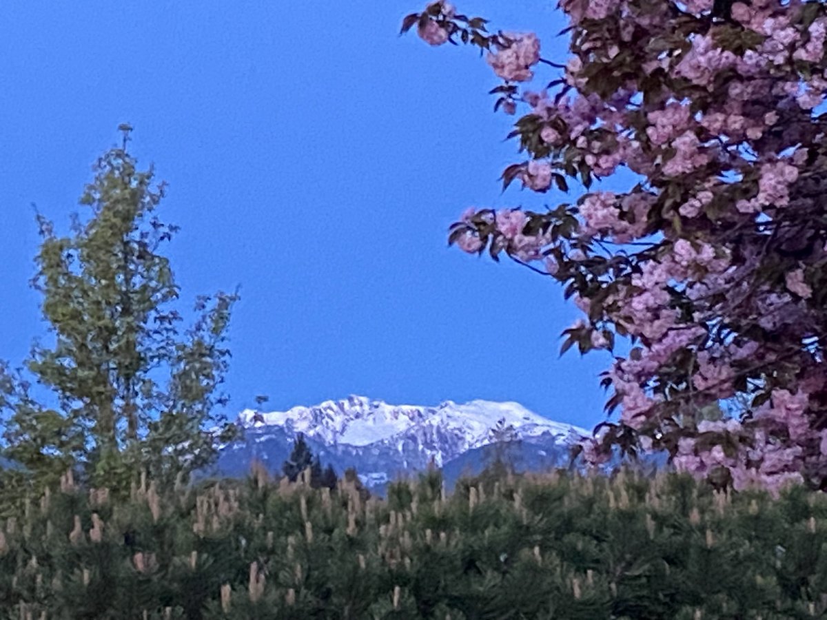 Happy May Day, one and all! #VancouverIsland #MayDay #beautifulBC