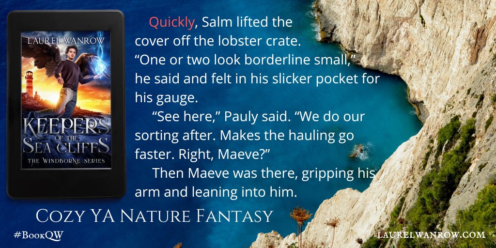 It's #BookQW and Salm must act ‘quick’ to avoid trouble--for the future.

Read more on my blog: wp.me/p76rSl-2WX
Buy it! books2read.com/KeepersCliffs

#cozyfantasy #naturefantasy #TheWindborne #YAfantasy #magic #Indieauthor #bookseries #YAfantasyromance #sailing