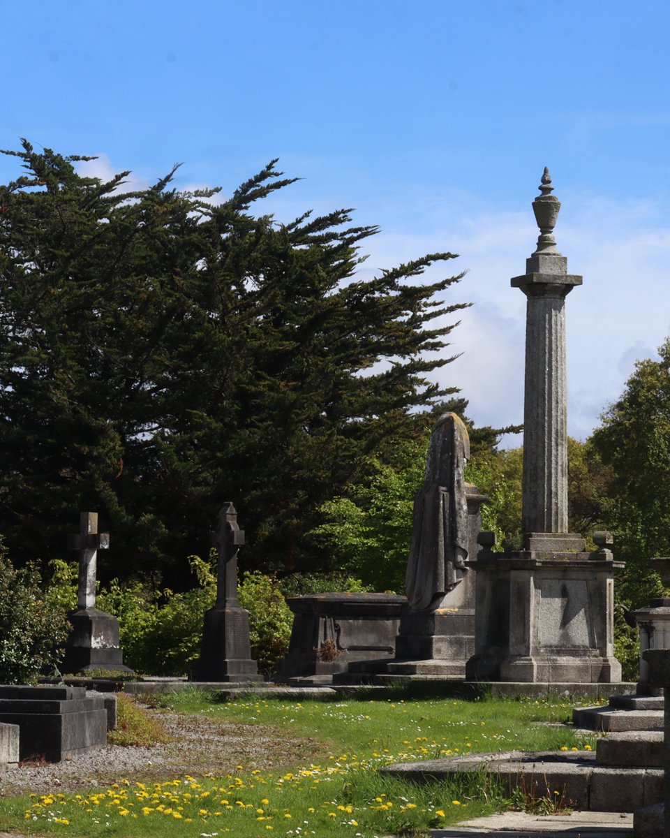 Today is Bealtaine, the traditional Irish festival marking the first day of Summer! ☀️ With the sun finally out, it's the perfect day for a stroll through Glasnevin Cemetery! #GlasnevinCemetery #MayDay #Bealtaine #VisitDublin
