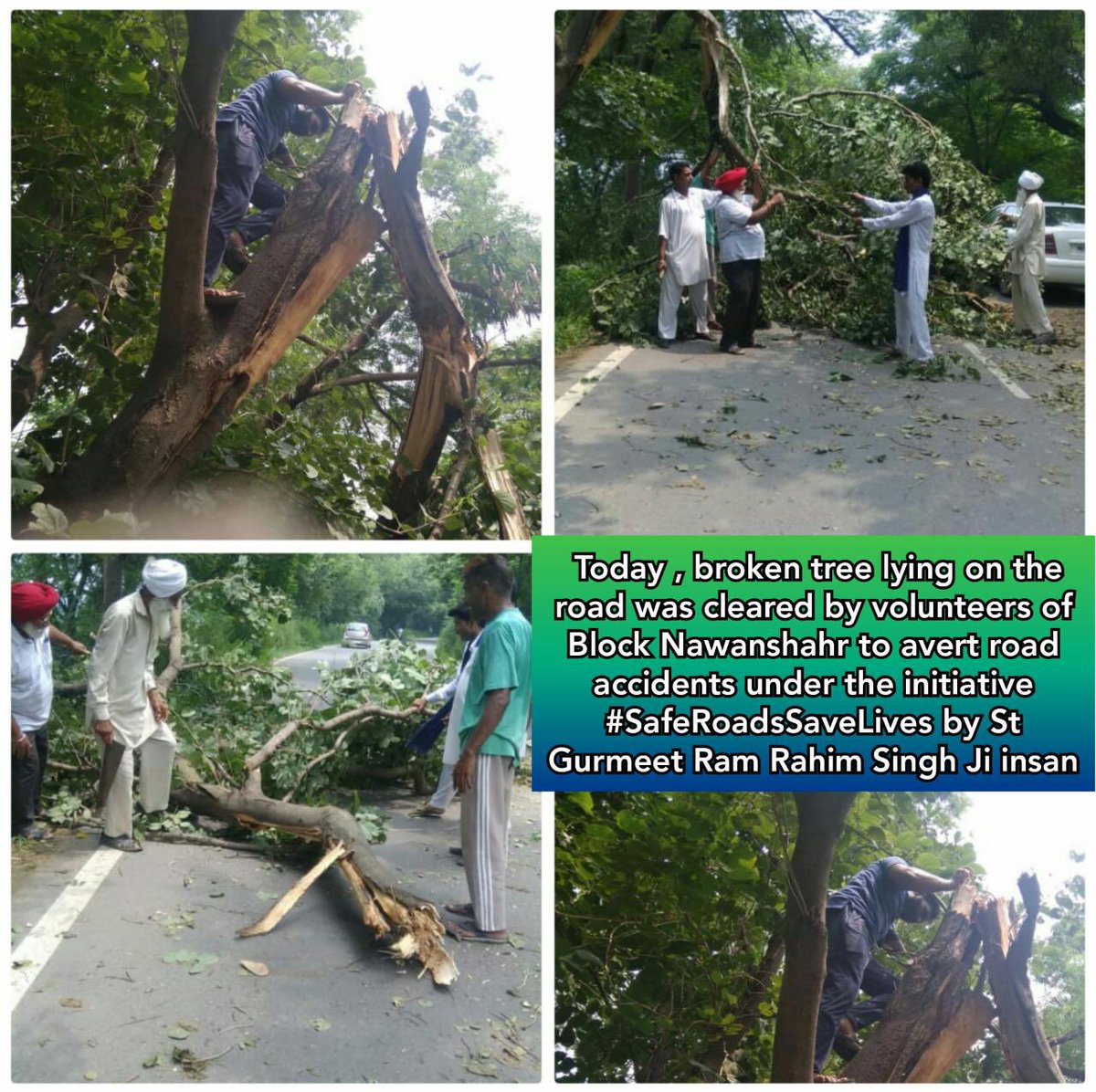 Sometimes weather & environmental reasons road become block due to broken trees 🌴 & stones.
Dera volunteers don't hesitate in such times, they think about #SafeRoadSaveLives & #AnimalWelfare and do clear roads as well as they can possible.
#AnimalCare #Kindness 
#DeraSachaSauda