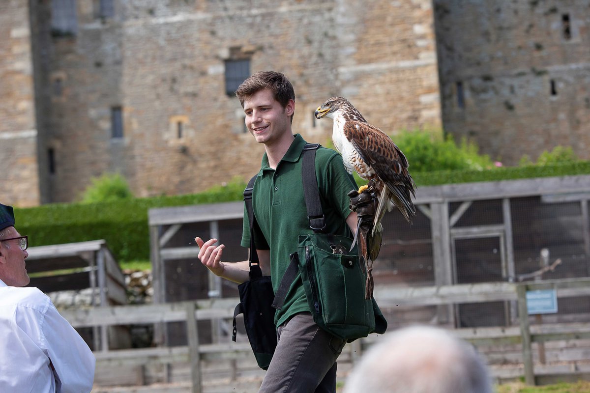 Falconry Experience 🦅 Did you know - you can book an experience to join our Falconer? Spend a fascinating and informative morning learning about, looking after and flying a variety of beautiful #birdsofprey Advanced Booking Essential (min age, 10 years)