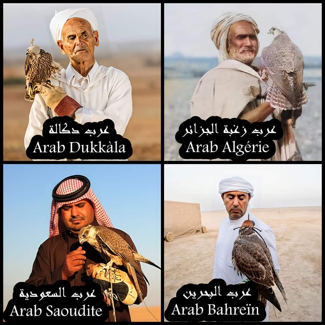 تراث واحد يجمع بين كل من عرب شمال إفريقيا ❤️ وعرب المشرق❤️
#المغرب_أولا
