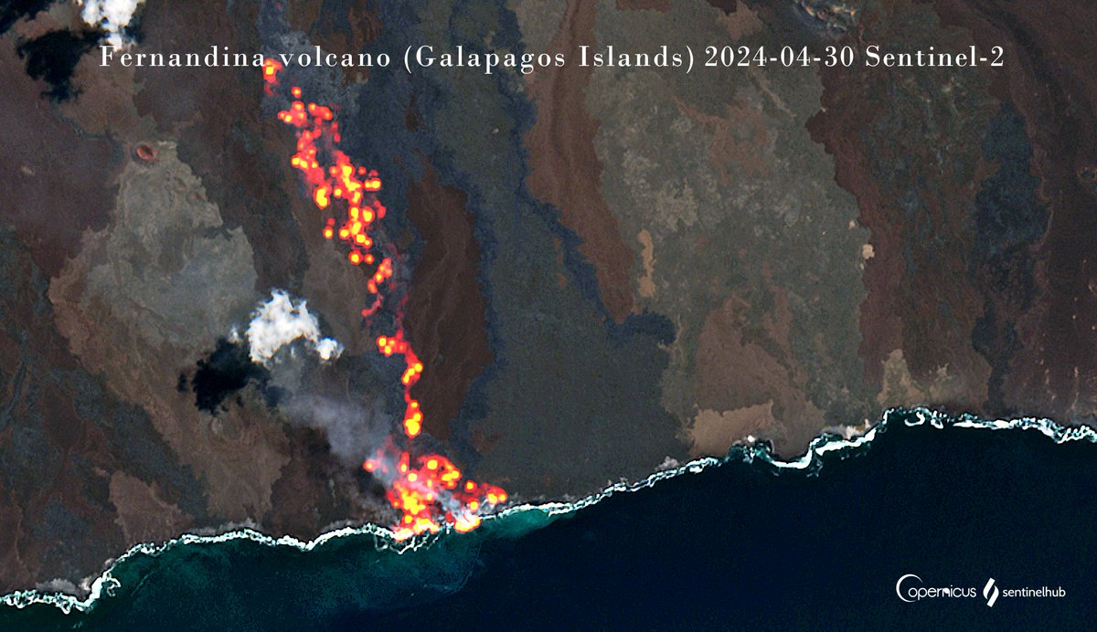 Lava flow front at #Fernandina continues to occupy shoreline! 🇪🇨

🌋@volcanodiscover activity update:
👉lnkd.in/eFmxGmuR

@esa @ESA_EO @CopernicusEU @sentinel_hub @sinergise @planet @Pierre_Markuse @SmithsonianGVP @IGecuador