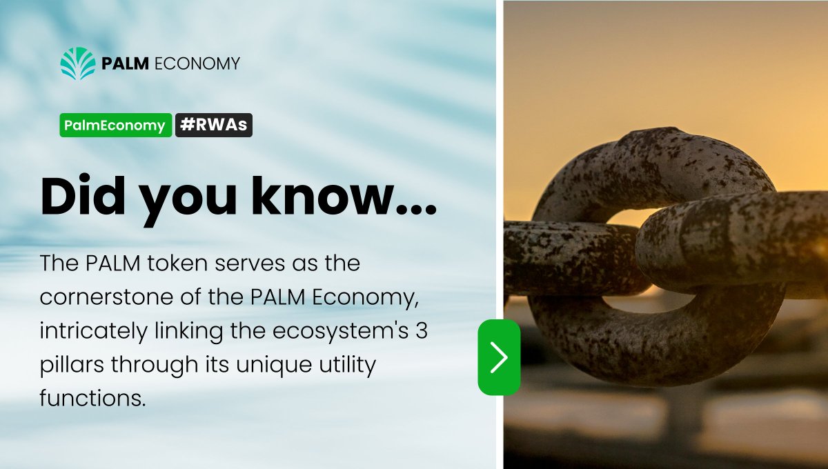 Connecting The 3 Pillars 🏛️ 

Palmyra Platform  
⛓️
Palm Economy  
⛓️
Decentralized Business Development