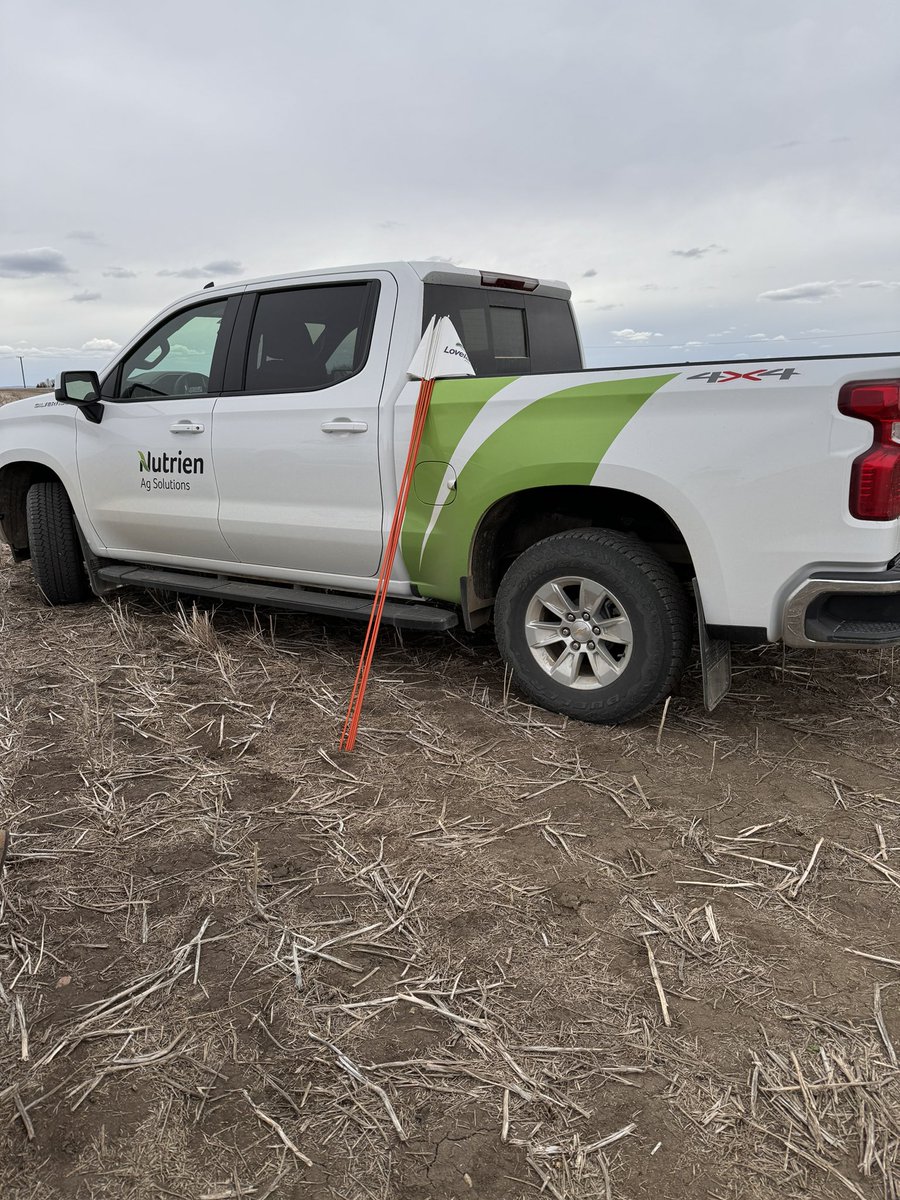 Tristan Zayonce tweet media