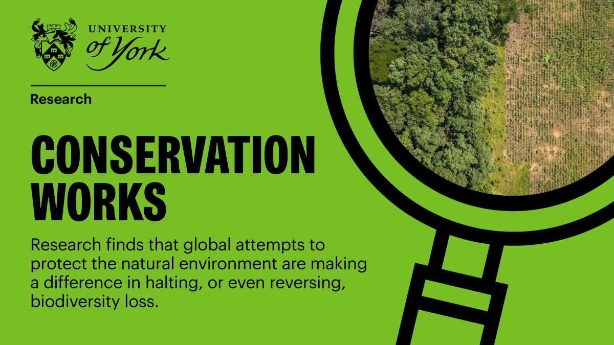 Attempts to protect the natural environment are working to halt and reverse biodiversity loss, according to @AnthropoceneBio The latest #YorkResearch suggests that conservation efforts can be effective in reducing the impacts of climate change: tinyurl.com/wwu53nc5