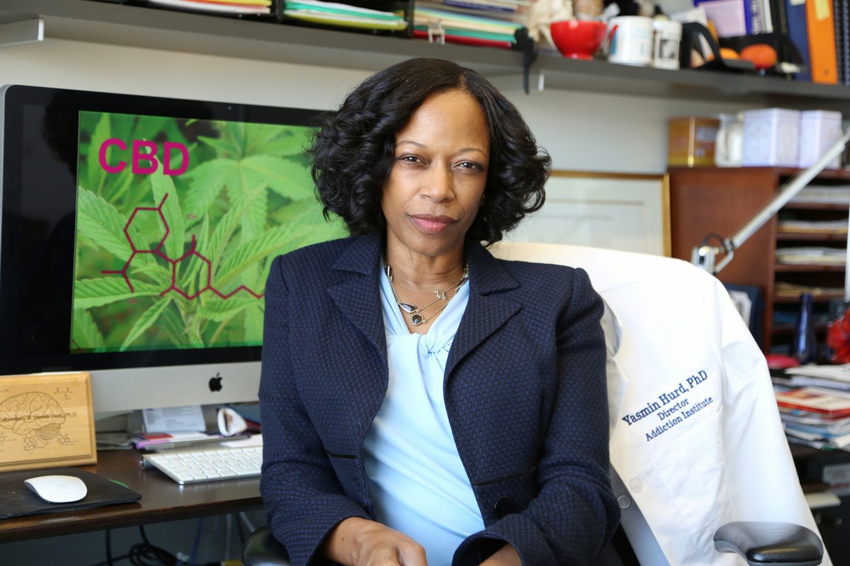 🎉A HUGE CONGRATULATIONS🎊to Dr. Yasmin Hurd @neurovoice! @binghamtonu announces internationally renowned neuroscientist Yasmin L. Hurd ’82 will be awarded honorary Doctor of Science during Harpur College of Arts & Sciences ceremony on May 11. Learn more👉 tinyurl.com/mr3jj9n9