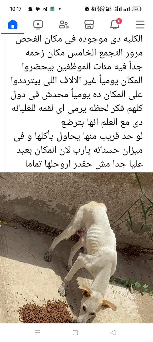 #التجمع_الخامس
اللي يقدر و اللي بيروح هناك يا ريت تأكلها