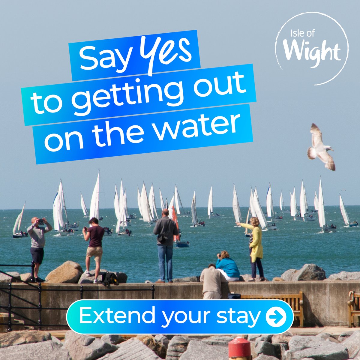 The #IsleofWight = the ultimate sailing destination ⛵️ 🌊 Globally-renowned regattas 🌊 A wide-range of marinas for mooring 🌊 Schools & clubs to learn to sail 🌊 Boat trips for charters ℹ️ Say Yes to a Sailing Holiday: bit.ly/IWSailing #IOW #Coast2024