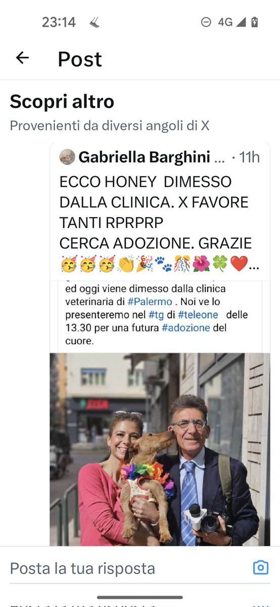 HONEY CERCA UNA BELLA FAMIGLIA♥️♥️♥️♥️🙏🙏🙏🙏🙏🙏🙏🙏🙏🆘🆘🆘🆘🆘🆘🆘🆘🆘🙏🙏🙏🙏🙏♥️♥️♥️🙏♥️♥️