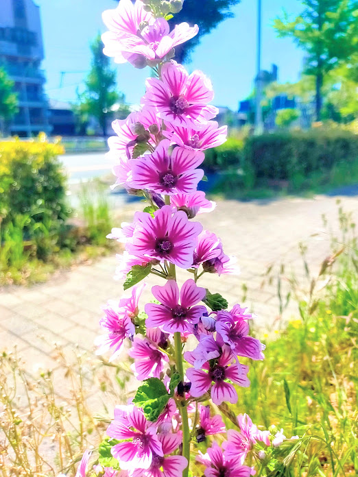 おはようございます🌈📸