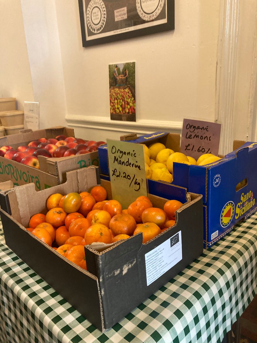 Michelle Green tweet media