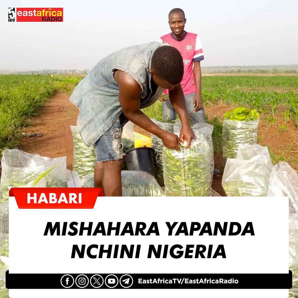 #HABARI Nigeria imeongeza mishahara kwa watumishi wa umma kwa kati ya asilimia 25% na 35% huku ikiwasaidia kukabiliana na kupanda kwa gharama za maisha.
 
Mfanyakazi wa serikali anayelipwa mshahara mdogo zaidi sasa atapata Dola 324 sawa na shilingi Tsh. 839,160.84 kwa mwaka,…