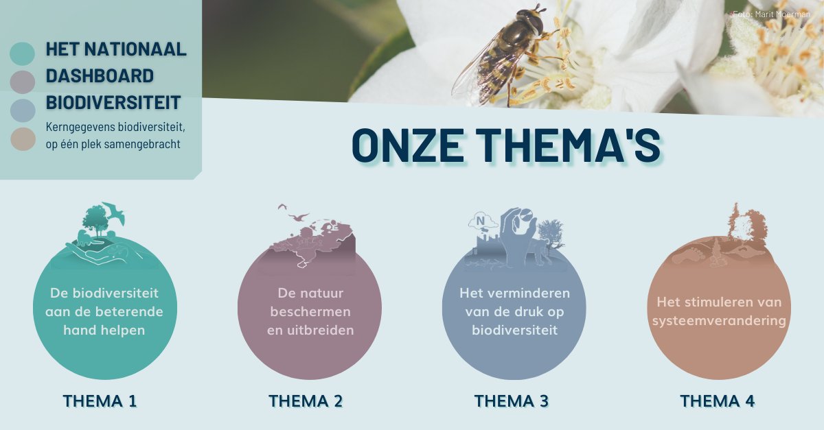 Over drie weken lanceren we het Nationaal Dashboard Biodiversiteit! Het Dashboard geeft inzicht over de status van de natuur in Nederland, door middel van vier thema’s: Biodiversiteit, Ruimte voor Natuur, Drukfactoren en Systeemverandering.  
@Sovon  @IUCNNL