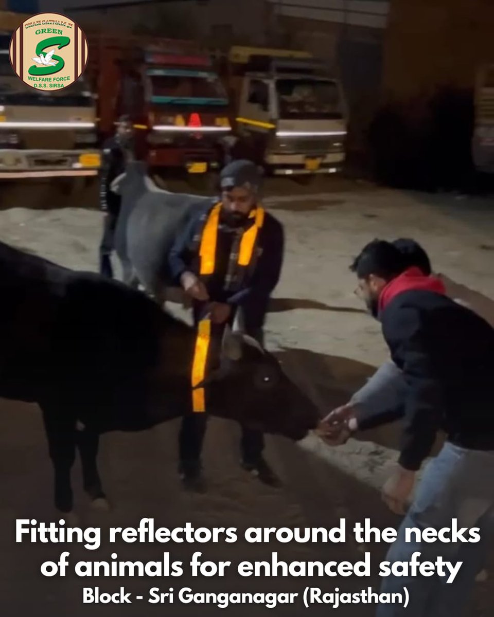 To ensure their safety of animals , #SafeRoadsSaveLives initiative was taken by @Gurmeetramrahim According to this initiative, DSS followers tie radium bandages or chemical free reflector belts on animals, and remove animals carcasses & trees from the road