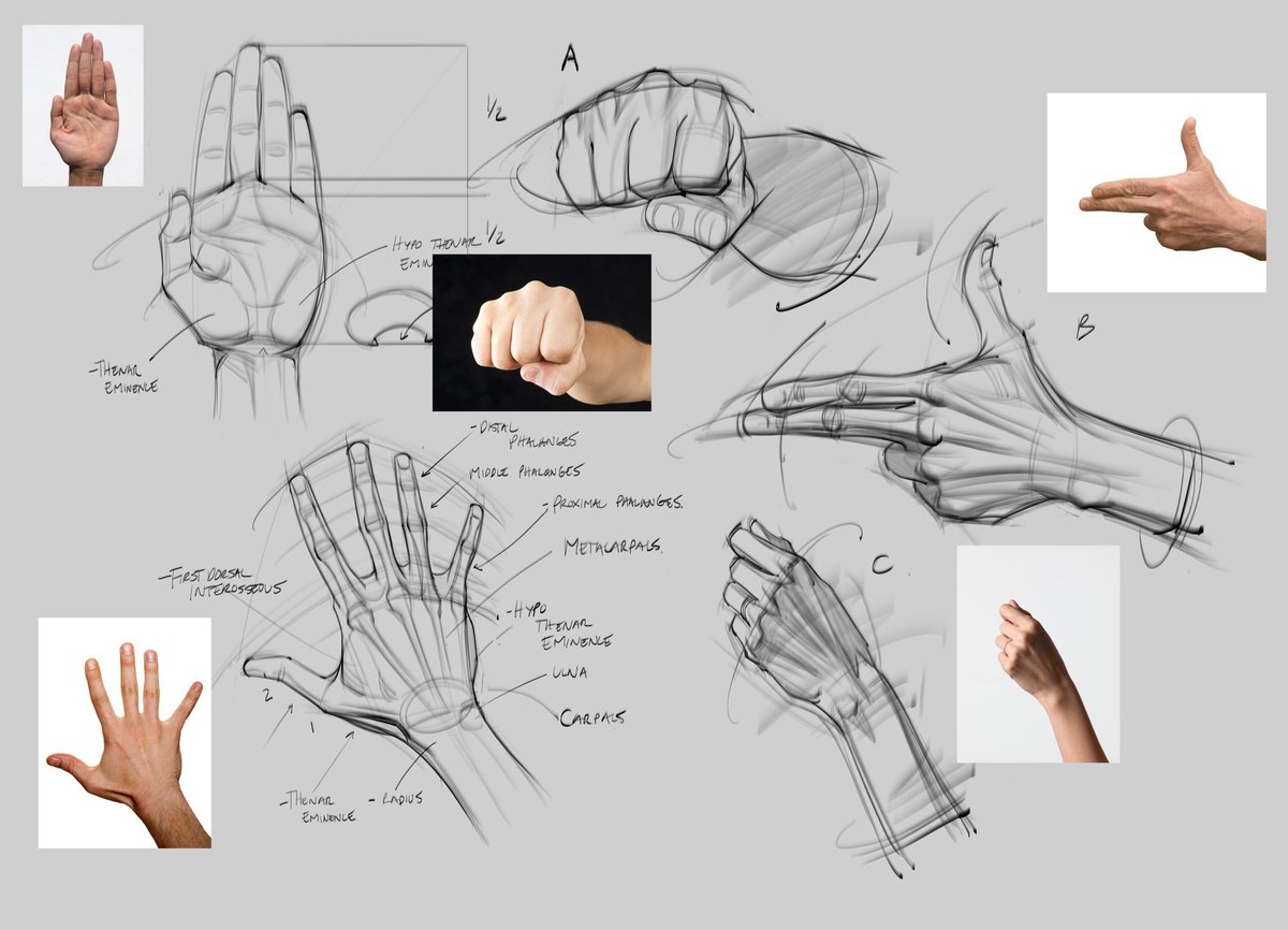 saqomolo's tweet photo. Hey everyone! I just posted a new YouTube video on my channel:) In this video, I share some of my process and insights on drawing hands!   #gesturedrawing #figuredrawing #drawinghands #hands #humananatomy #gottogetbetter #lineart #arttips #howtodraw #doodles #sketches #art #goals https://t.co/m71Jd5RNQB