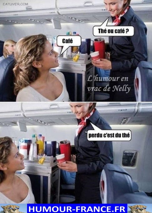 text alternatif