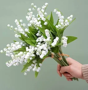 Happy May Day friends and Can's fandom. Here we celebrate this day with demonstrations in the all country to remain the workers' rights' Day. But there also someting very pleasant, Every body offers to everyone lily of the valley. So I offer you all some for more happiness. 🥰